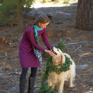 Title Nine Getaway long sleeve burgundy dress
